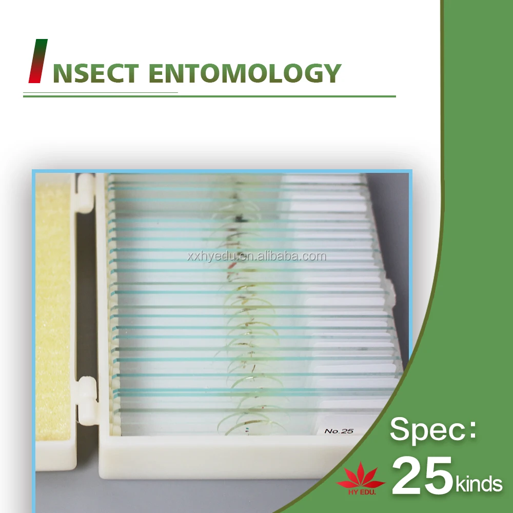 Hot-selling 25 kinds Insects whole mount slides Entomology series specimen microscope slides