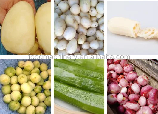 Best price cocoyam peeling and washing machine coconut carrots