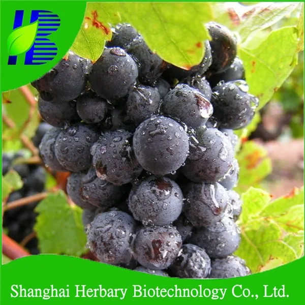 Высококачественные мелкие ядра и сочные Виноградные семена для посева