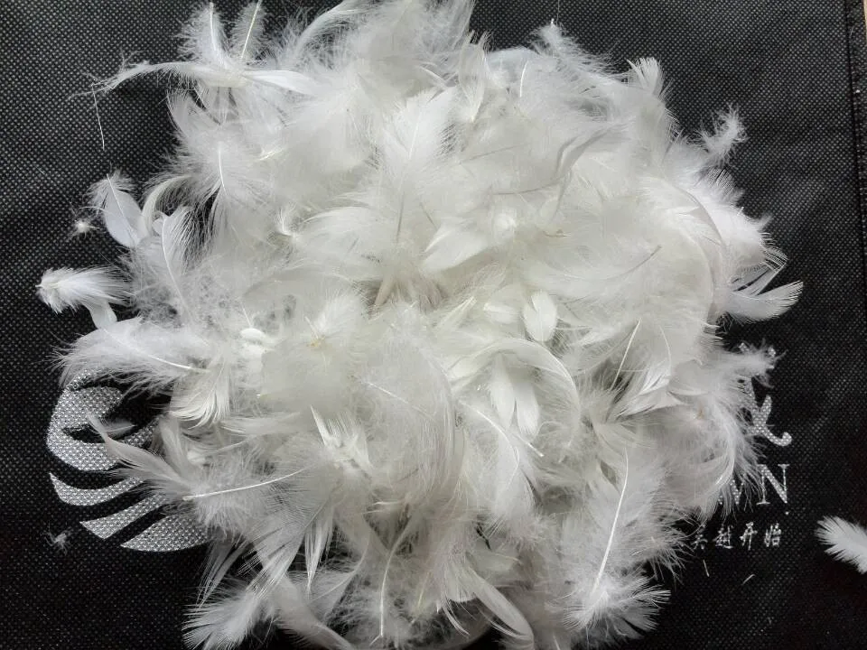 bulk material supply 95/5 duck feather