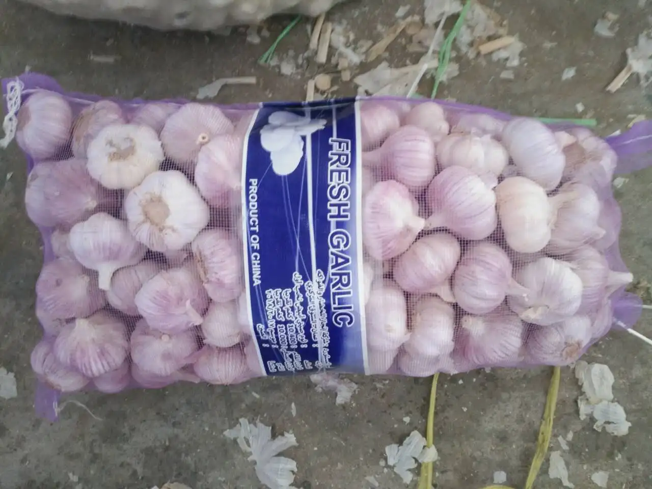 
wholesale garlic buyers and fresh normal white garlic indian garlic 