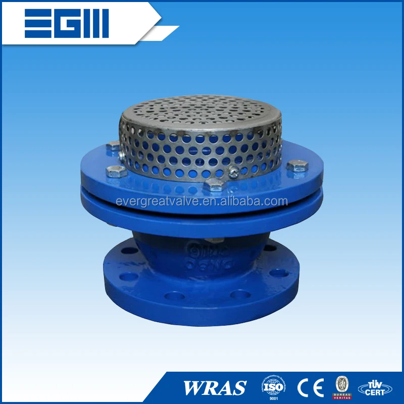 Foot Valves, PN10/PN16, Flanged