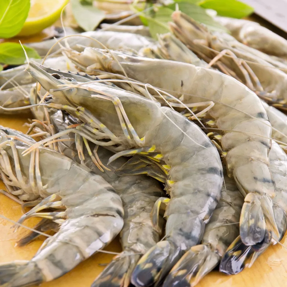 
Black Tiger Prawn (Vietnam, Indonesia, Madagascar) 