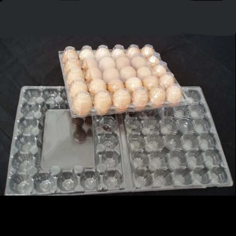 Best selling plastic crate tray for 30 chicken eggs