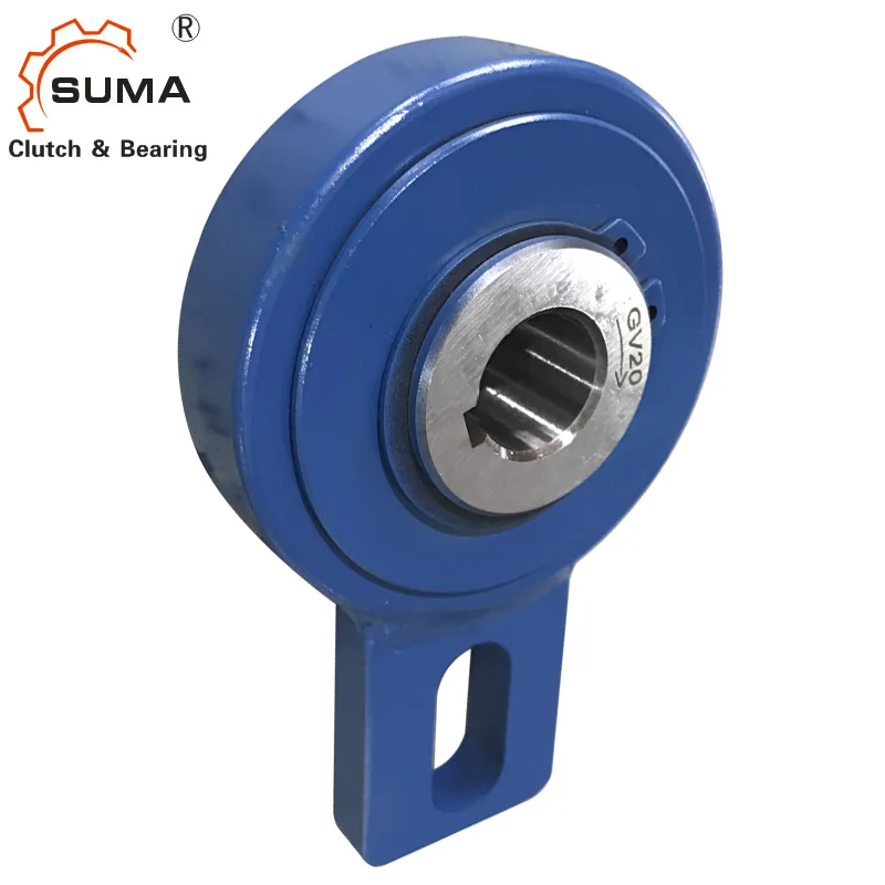 
GV50 China Manufacturer One Way Bearing Backstop 