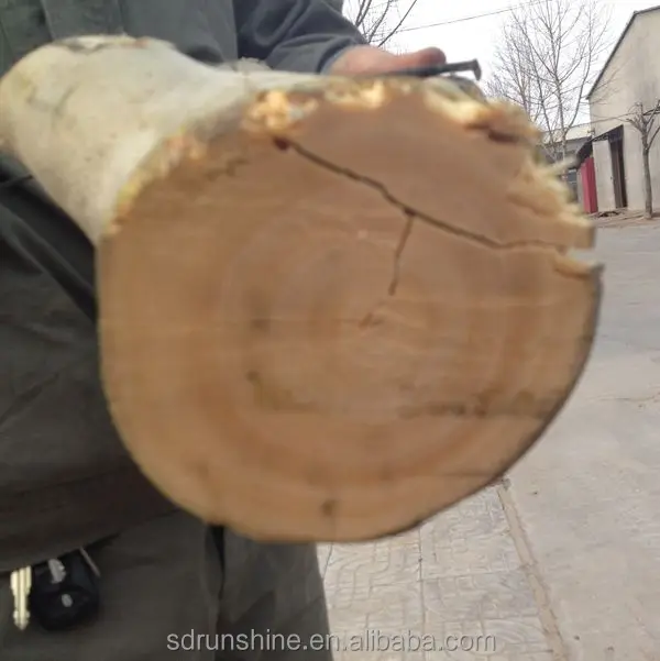 DWC22 made in China wood chipper japan