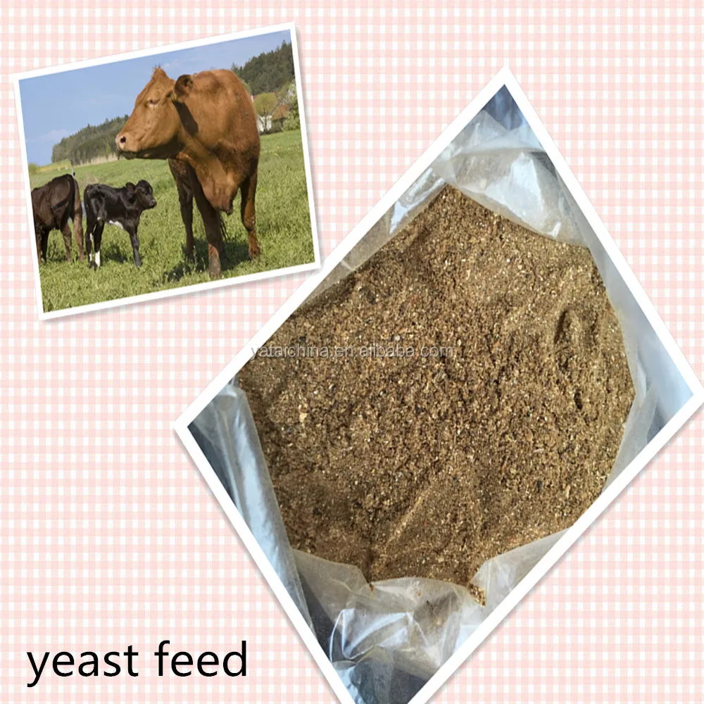 100% Natural Yeast Protein Feed