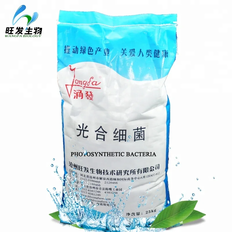 
Photosynthetic Bacteria Culturing Seaweed Microbial Aquaculture Ball Water Purifier 