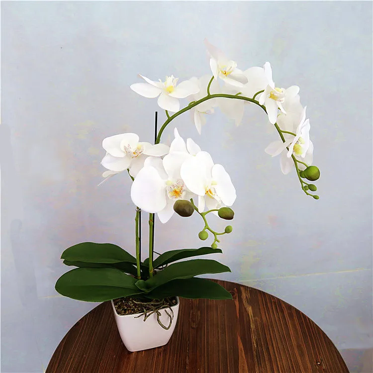 2019 Hotsales orchid silk daisy flower for interior decoration