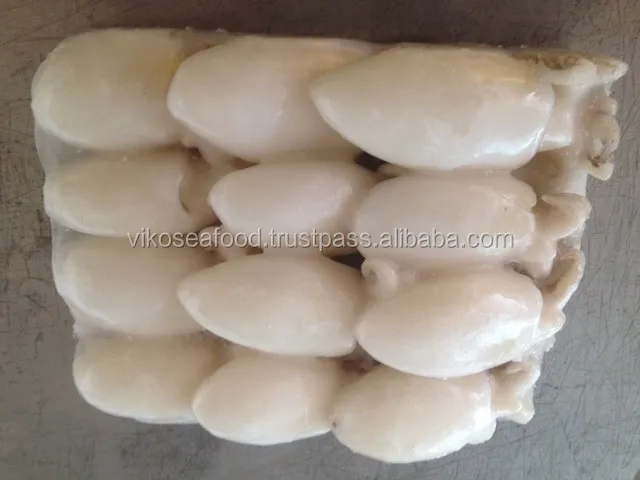 
FROZEN BABY CUTTLEFISH 