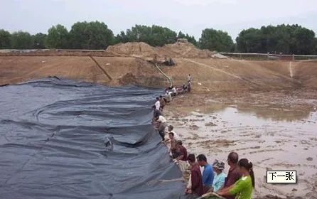 1.50mm HDPE smooth black color Geomembrane dam liner