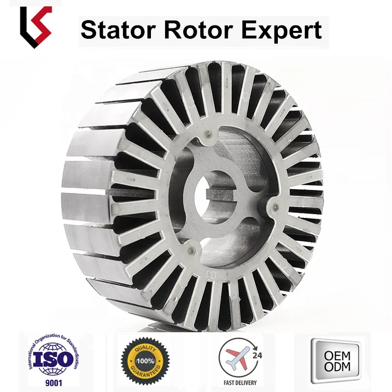 Segway Balance Vehicle Stator and rotor assembly metal sheet stamped rotor stator lamination winding motor rotor stator core