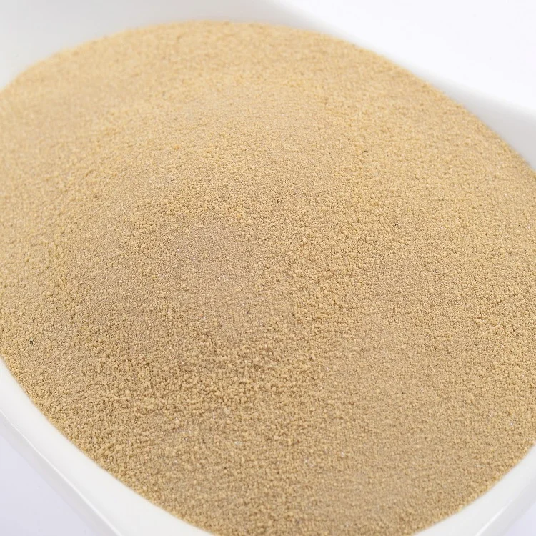 High grade protein hydrolysate fertilizer amino acid