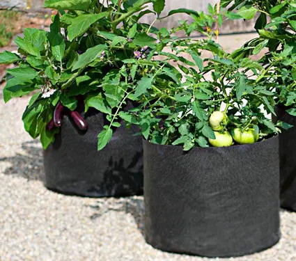 10 gallons livraison gratuite jardinage sac, Pot de fleur