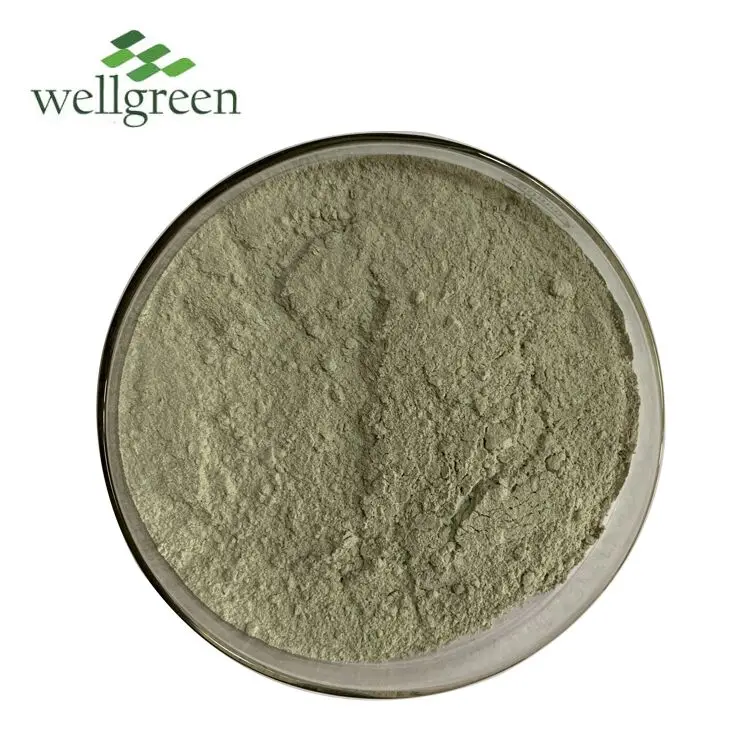 
High Quality Animal Feed Additive 325mesh Zeolite Powder 