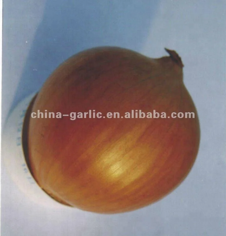 Дешевый урожай лука 2021 по низкой цене