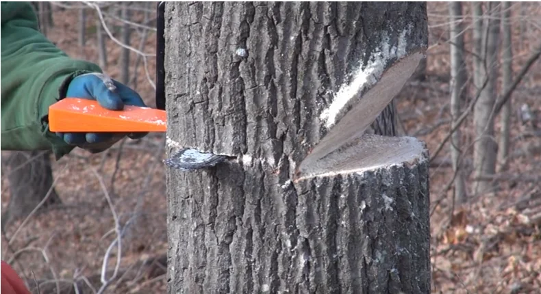 High Quality Cutting Tree Felled Spiked Tree Plastic ABS Felling Wedges