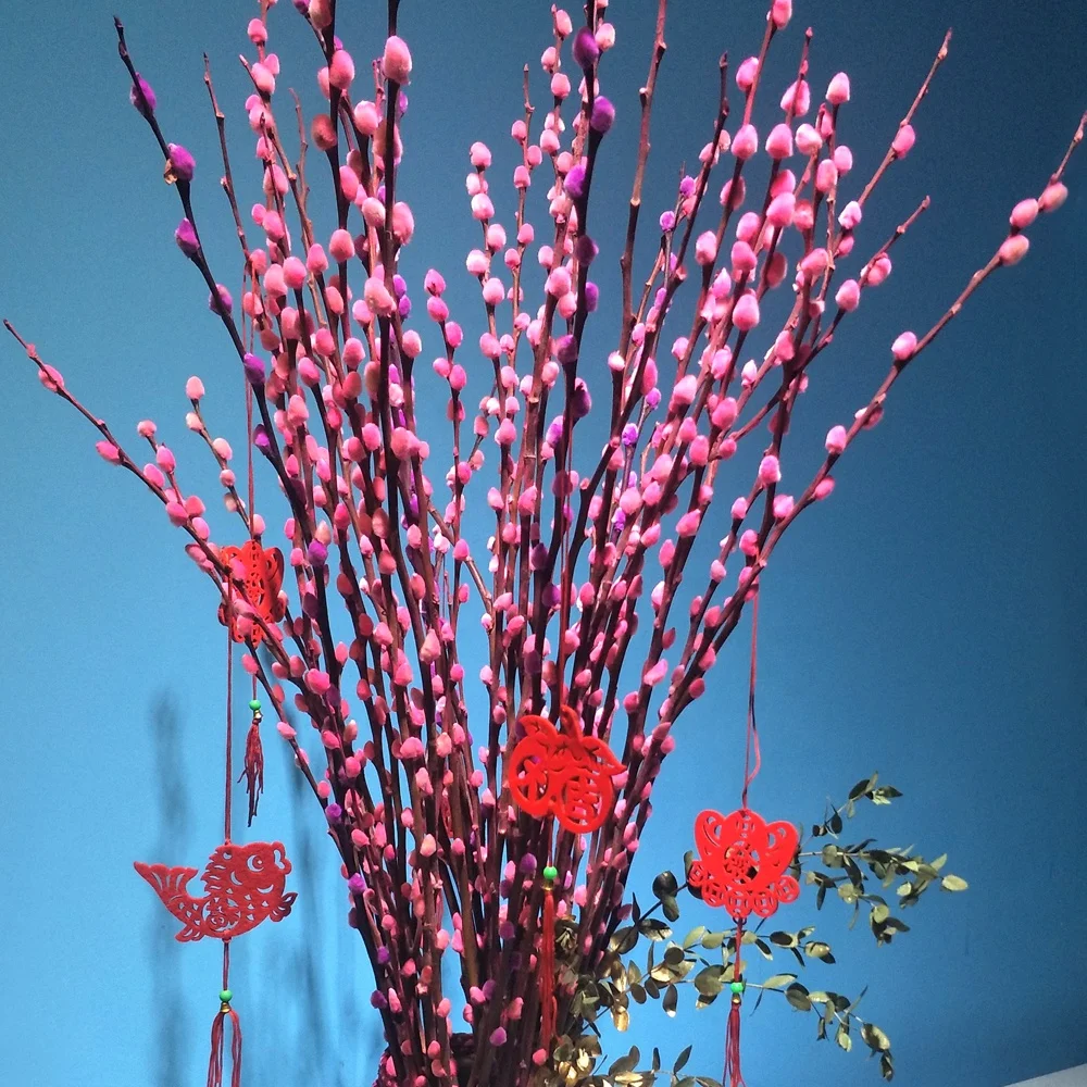 supply different types of fresh cut flowers pussy willow branches