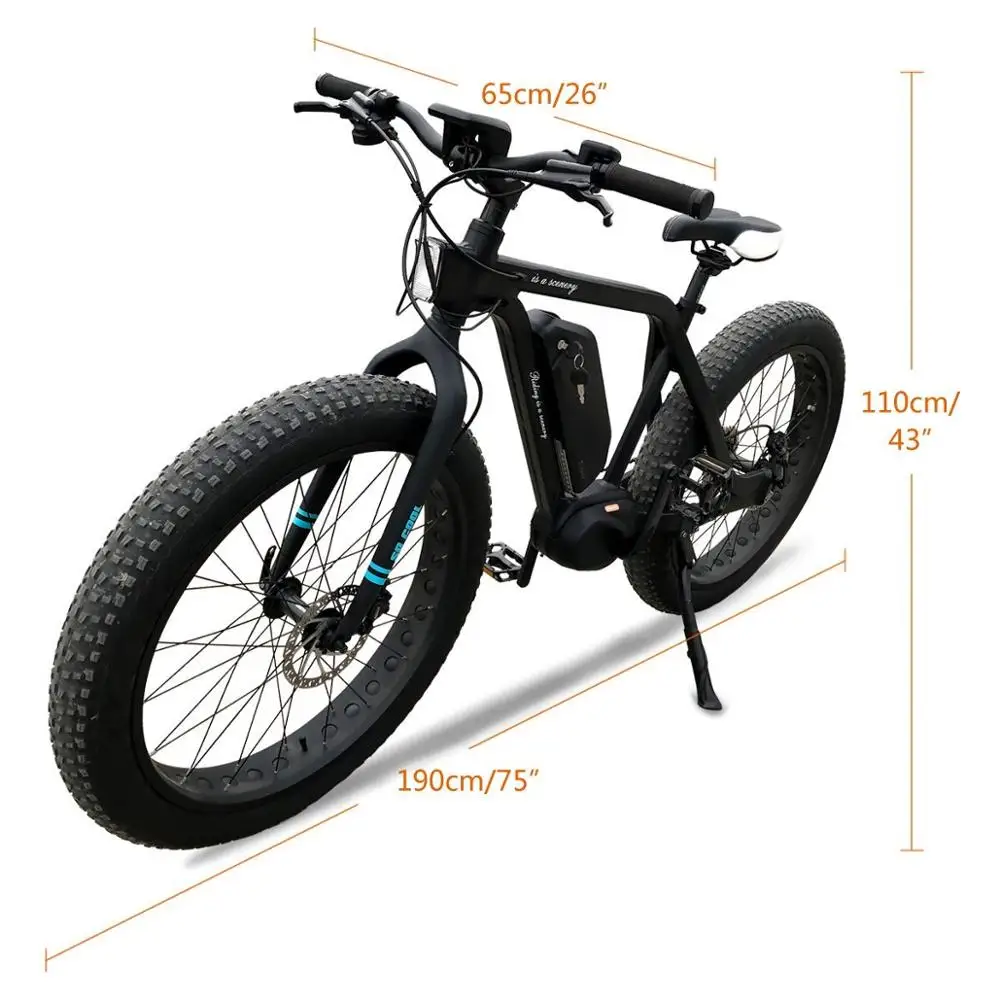 Fastest 10 speed ebike fat tire mid drive electric bike bicycle