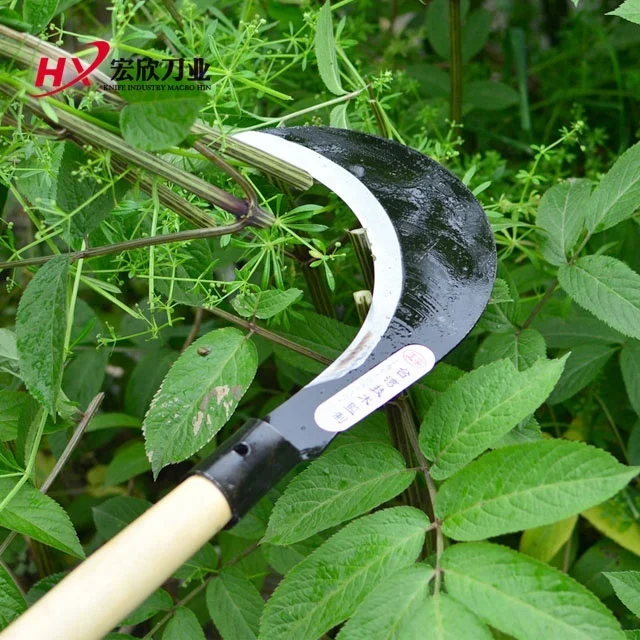 Tree cut with wooden handle mows outdoor pruning agricultural