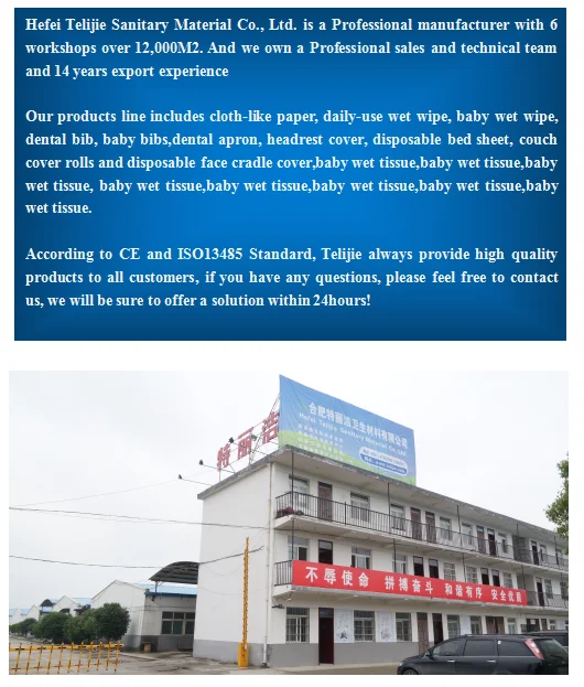 Customized Moist Toilet Paper Biodegradable Flushable wipes