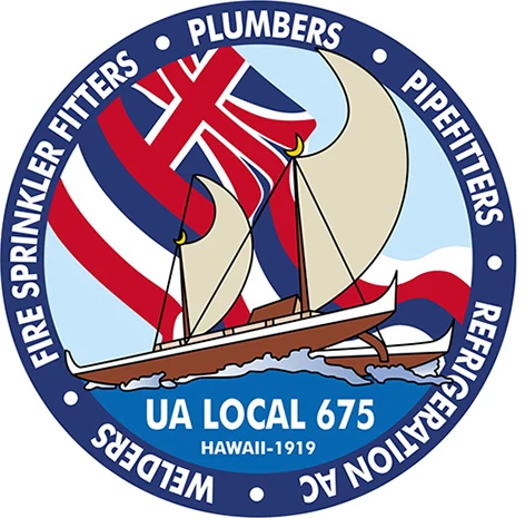 Graphic Conversion Promotional Products Service Low Cost And Best Quality Sports Wear Designs With Custom Design Vector