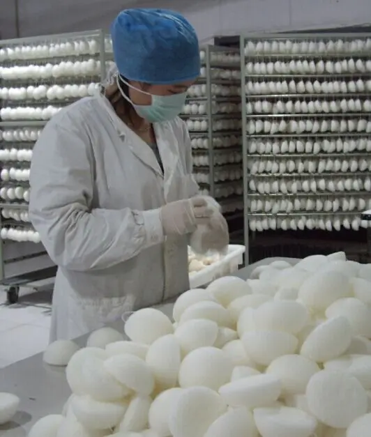 
Wholesale 2021 Hot Selling Bath Cleaning Puff Skin Care Private Label new ecofriendly organic Konjac Sponge Biodegradable 