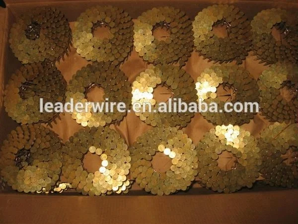 Stainless Steel Roofing Coil Nails for Pneumatic Nail Gun