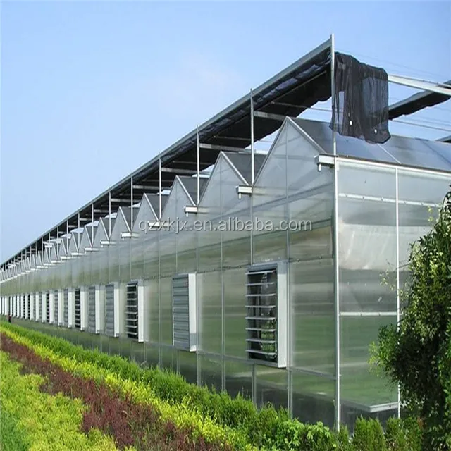 
China hot sale agricultural greenhouse multi span green house polycarbonate green house 