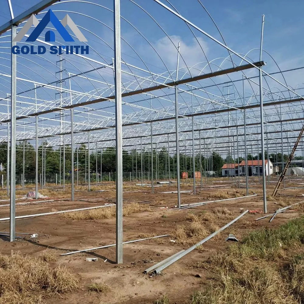 Gold Smith Intelligent Plastic Film Greenhouse Steel Structure for Vegetable Planting