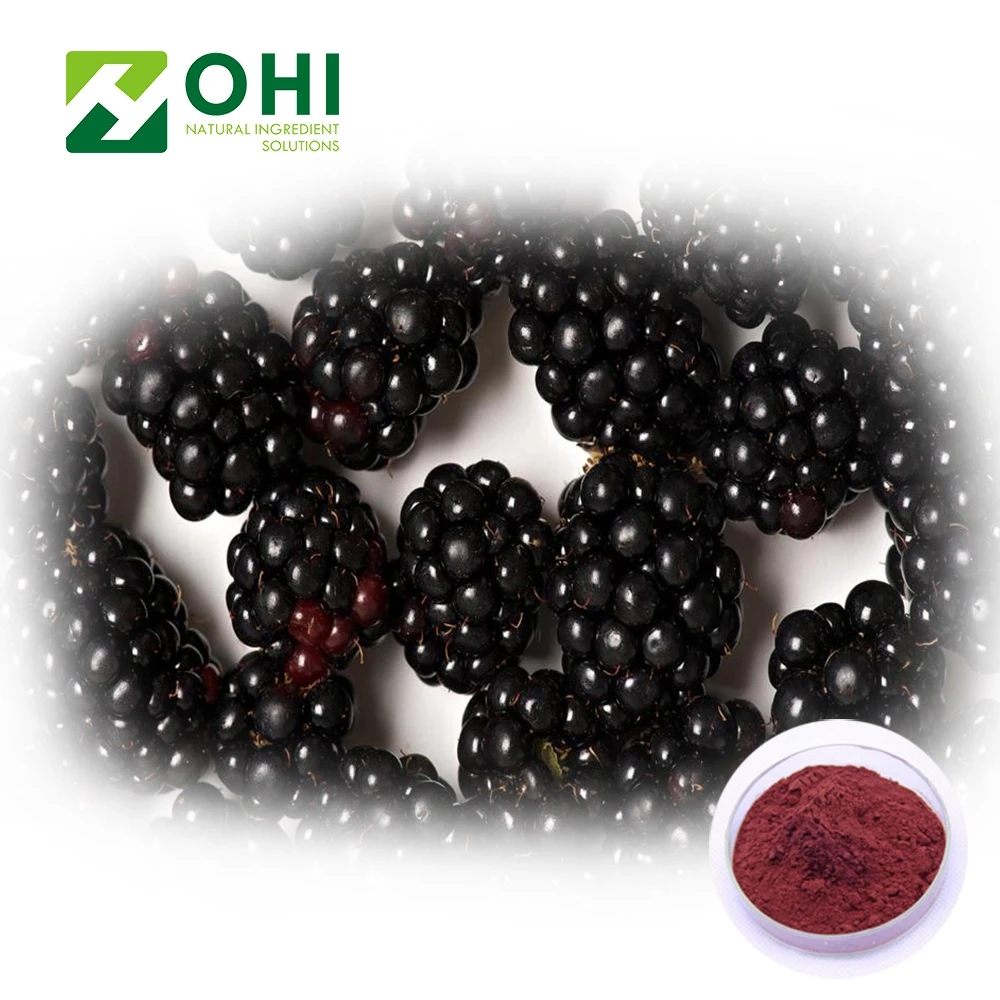 High Quality Anthocyanin Organic Black Berry Powder Blackberry Extract