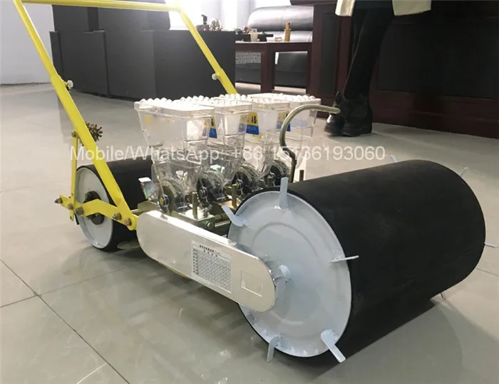 Семена овощей и моркови