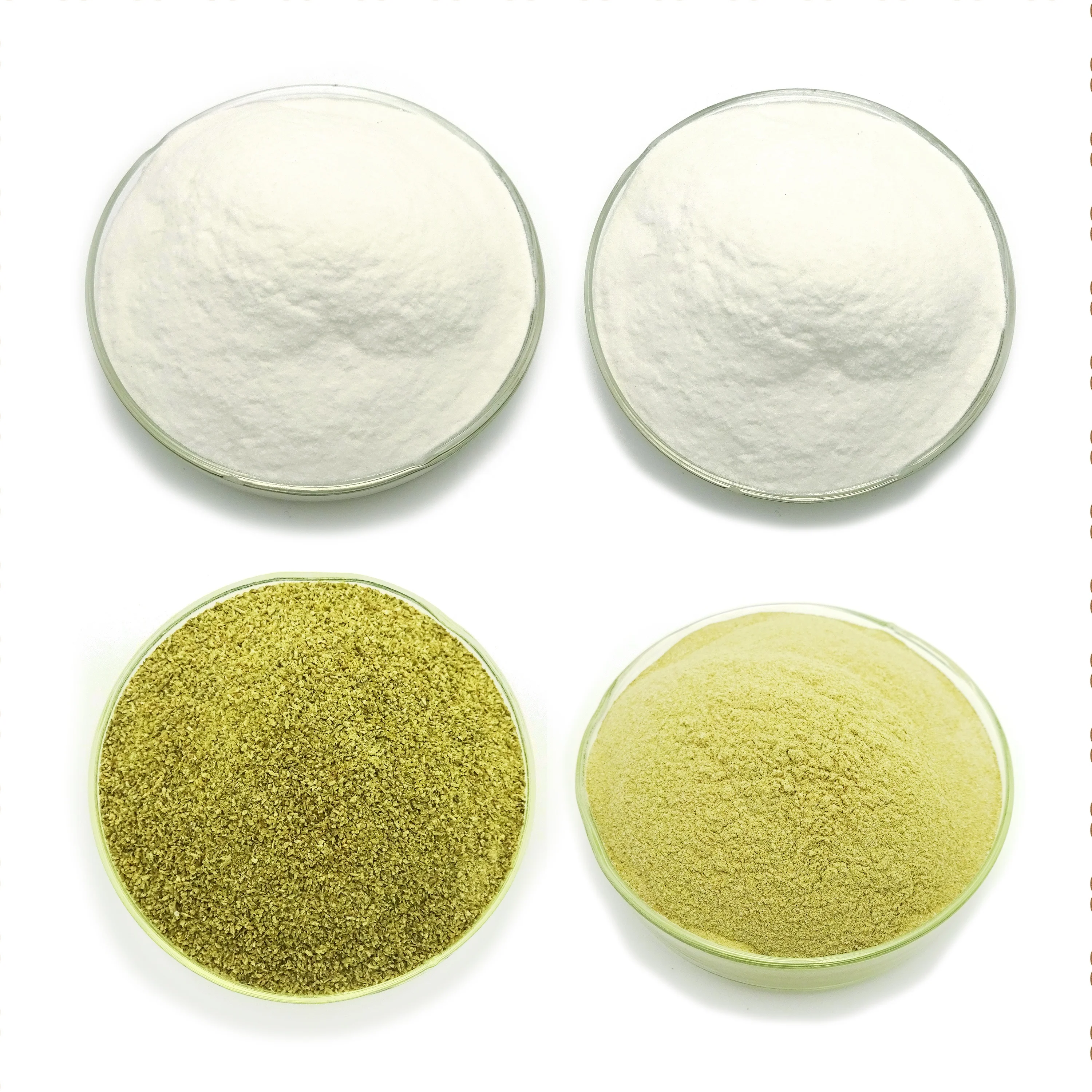 popular sodium alginate Bangladesh yellow alginate powder factory low sodium alginate price