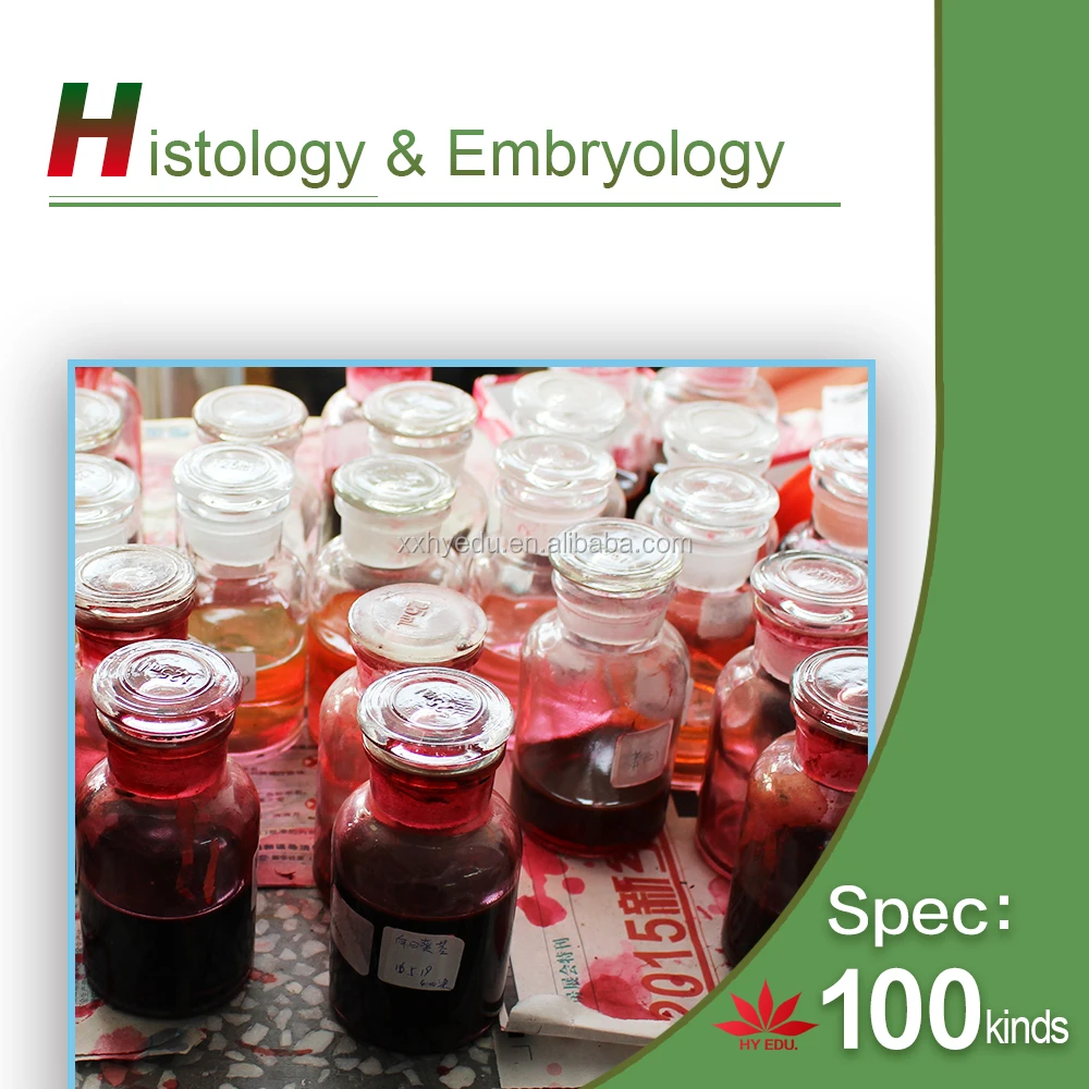 Most popular fixed set 100pcs set wooden box histology slides,human histology slides,Animal histology slides