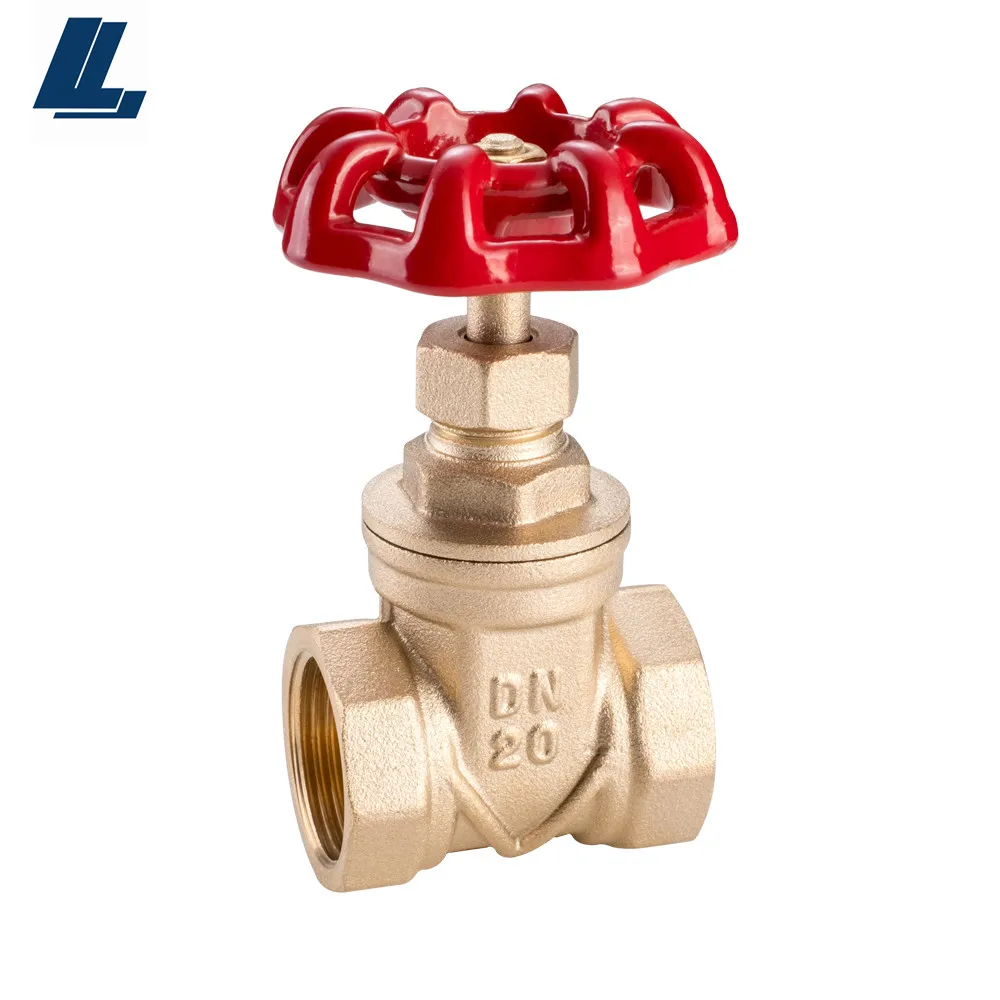 1/2 4 дюйма DN15   DN100 кованый металлический задвижной клапан