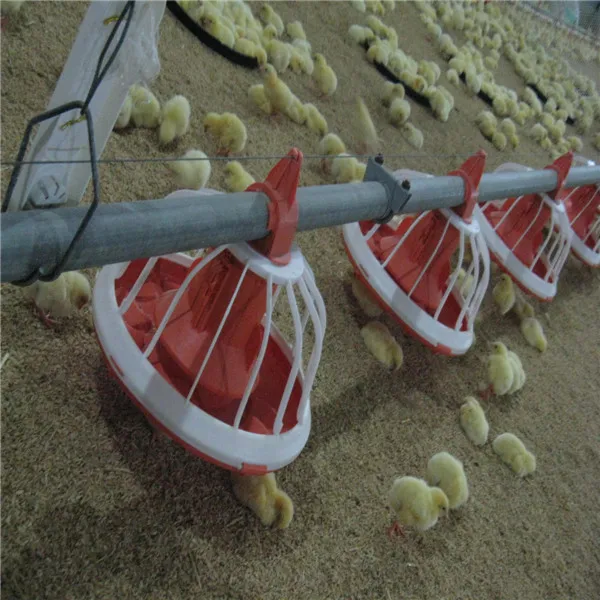 Zimbabwe chicken farm automatic poultry feeder