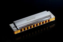 10 hole professional blues harmonica for player,beginner T008S