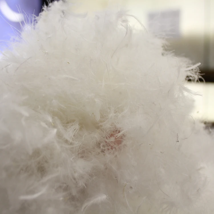 Machine Washable Natural White 60% Duck Down 40% Feather Pillow Filling Material Sticky Pure White Duck Down