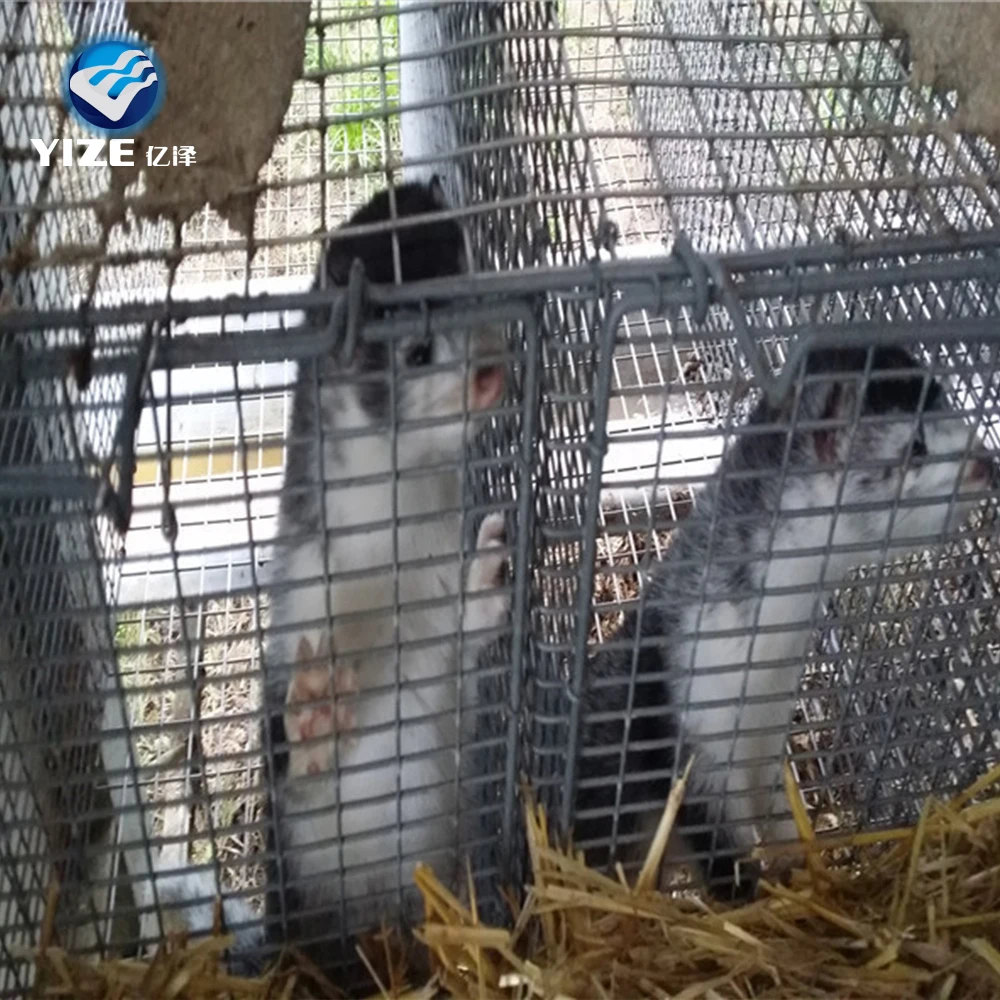 High Quality professional factory animal breeding mink cage