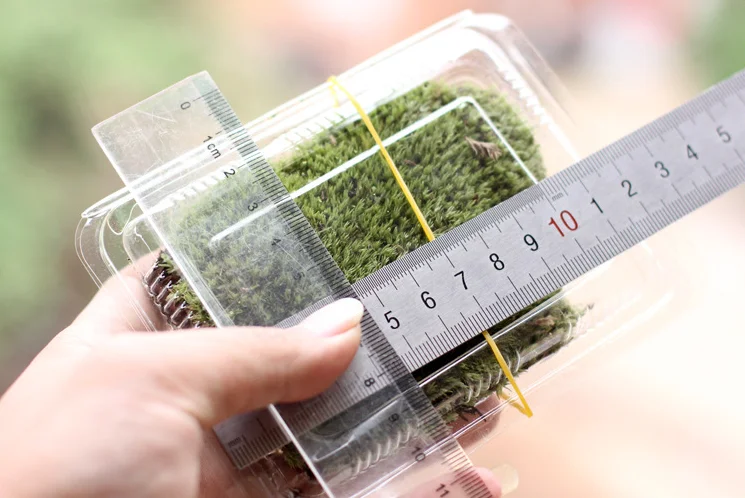 Micro-landscape fresh moss ecological bottle accessories material