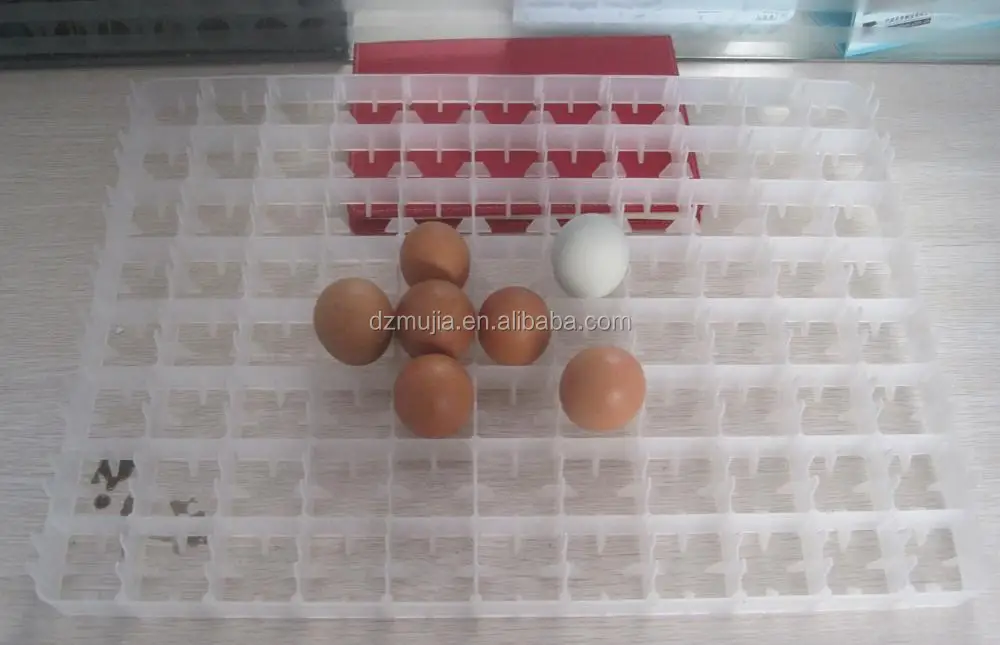
hot sale!!! 5000 egg incubator machine egg incubator thailand for sale 
