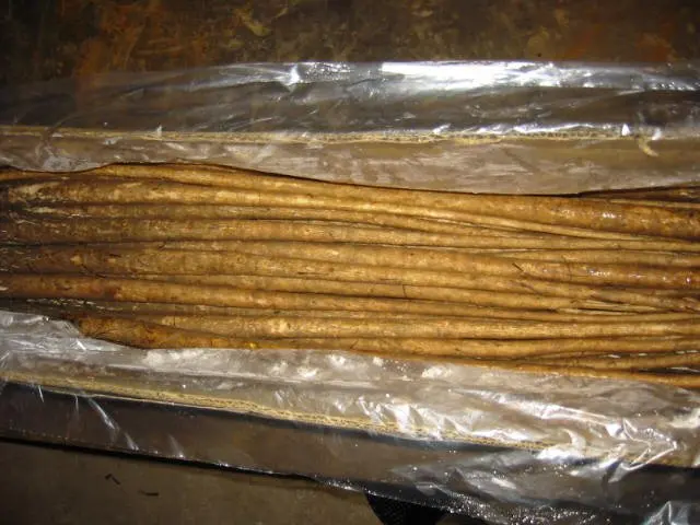 
chinese fresh burdock for sale 