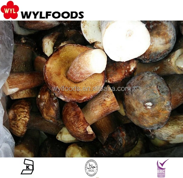 
Wholesale IQF Mushroom frozen Boletus edulis 