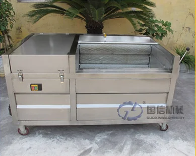 Citrus fruit washing machine / Orange cleaning machine / Citrus fruit washer and cleaner machine