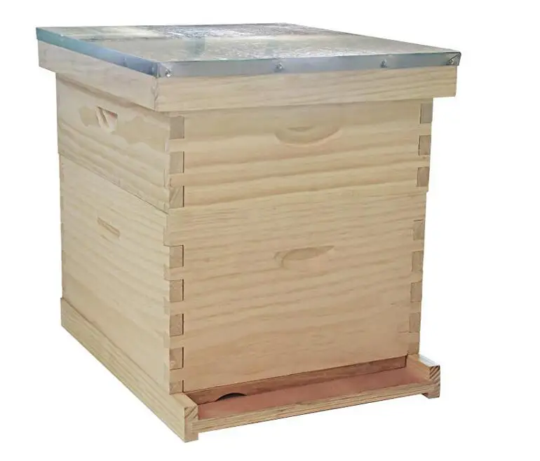 Dadant Standard Fir Australian Beekeeping Equipment Langstroth National Bee Hive Kit Plastic Beehive Feeder