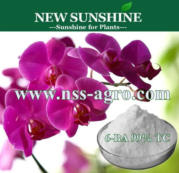 Hot sale Agriculture product 6-Benzylaminopurine 6-BA for plant hormone