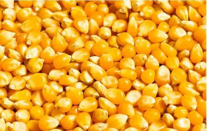 Электрическая машина для удаления шелухи кукурузы