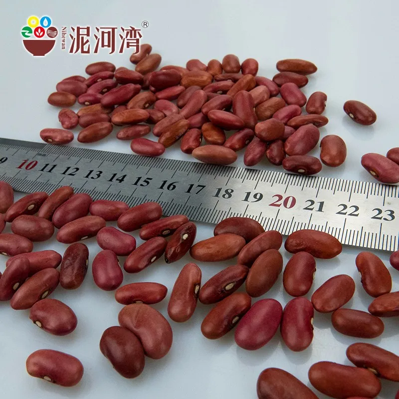 
Chinese Manufacturer price of Light Red Kidney Beans/red lentils/canned bean Wholesale 
