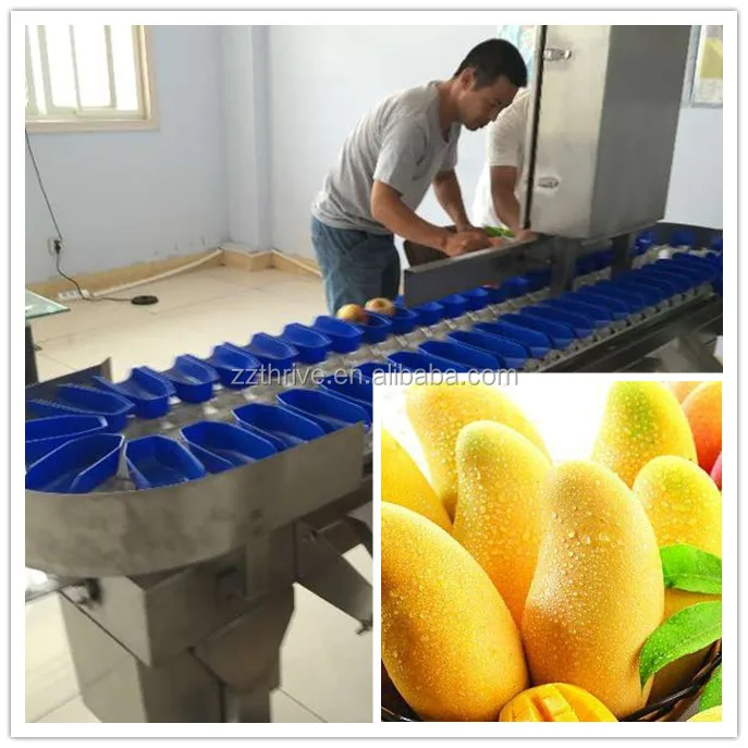 High efficiency chicken feet/claw/toe sorting machine durian fruit seafood sorting equipment