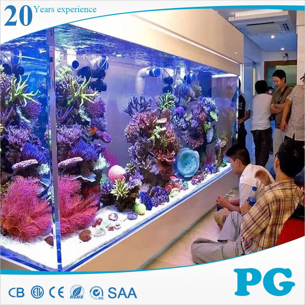 PG Underwater Window Luxury Style Clear Acrylic Aquarium Tank Fish